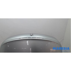 Peugeot - 207 - Heckklappe