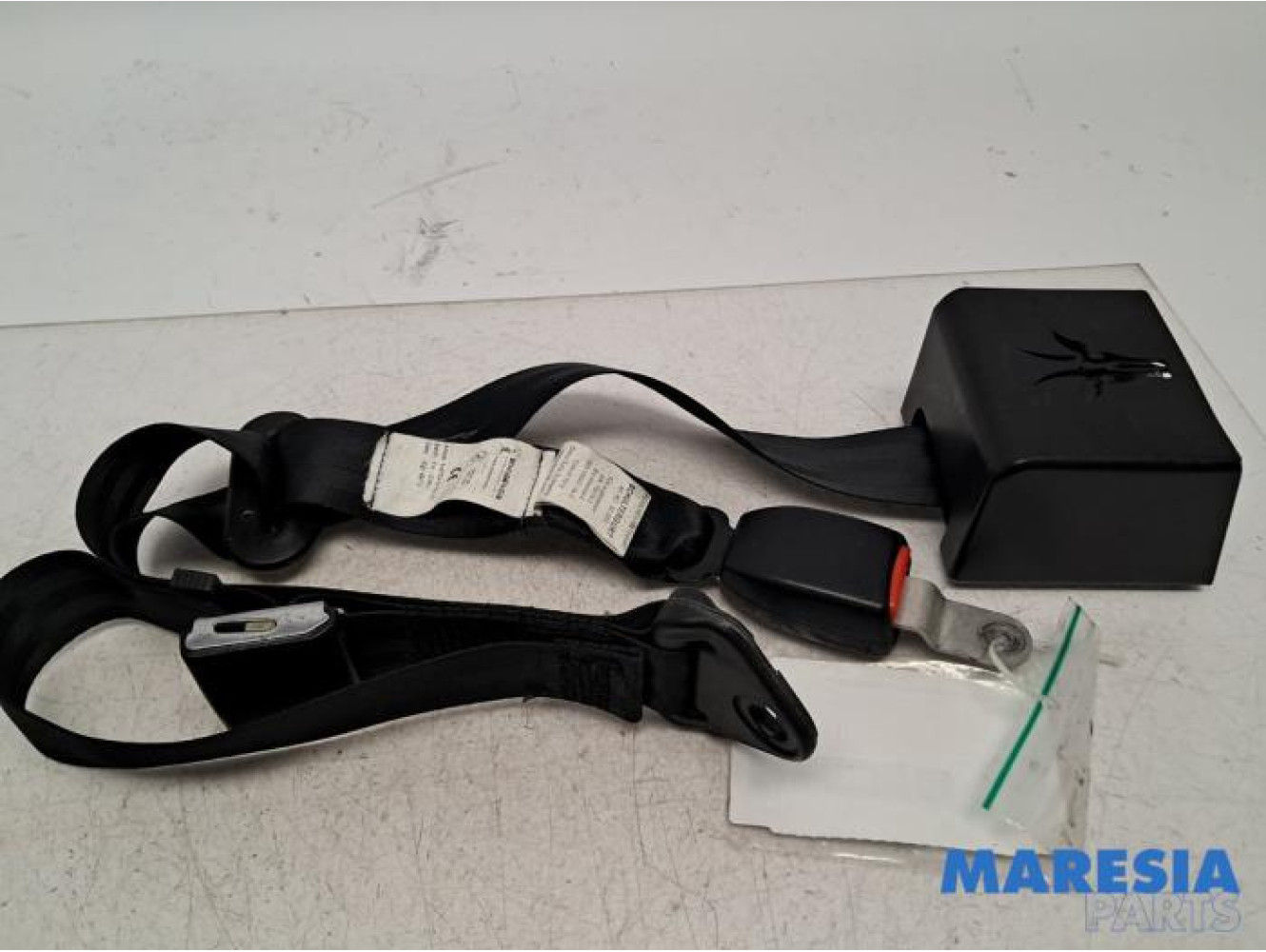 Fiat - Ducato - Sicherheitsgurt rechts hinten