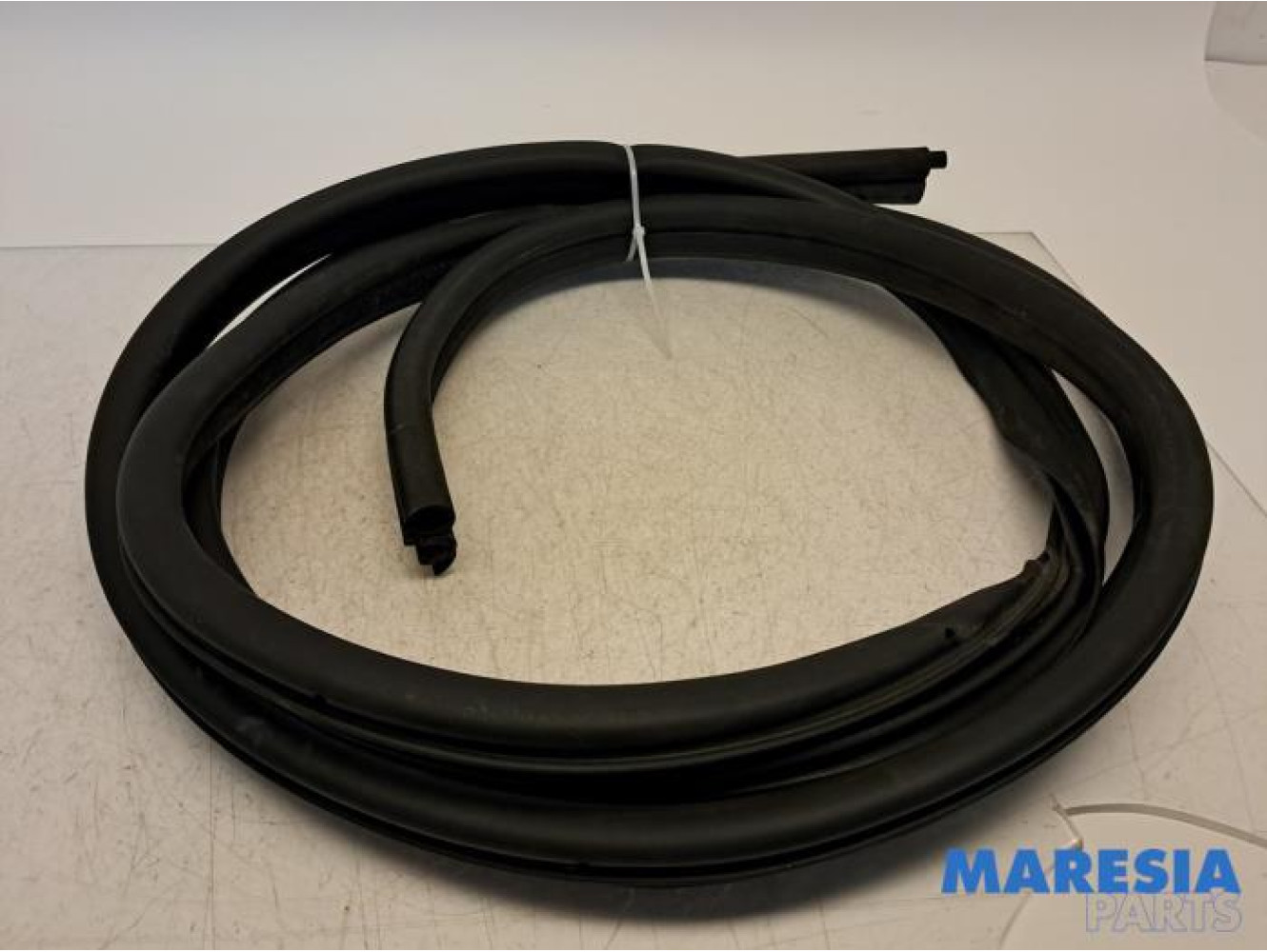 Renault - Master - Portierrubber 2Deurs links