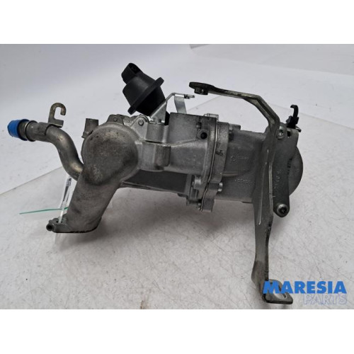 Citroen - C4 Grand Picasso - EGR valve