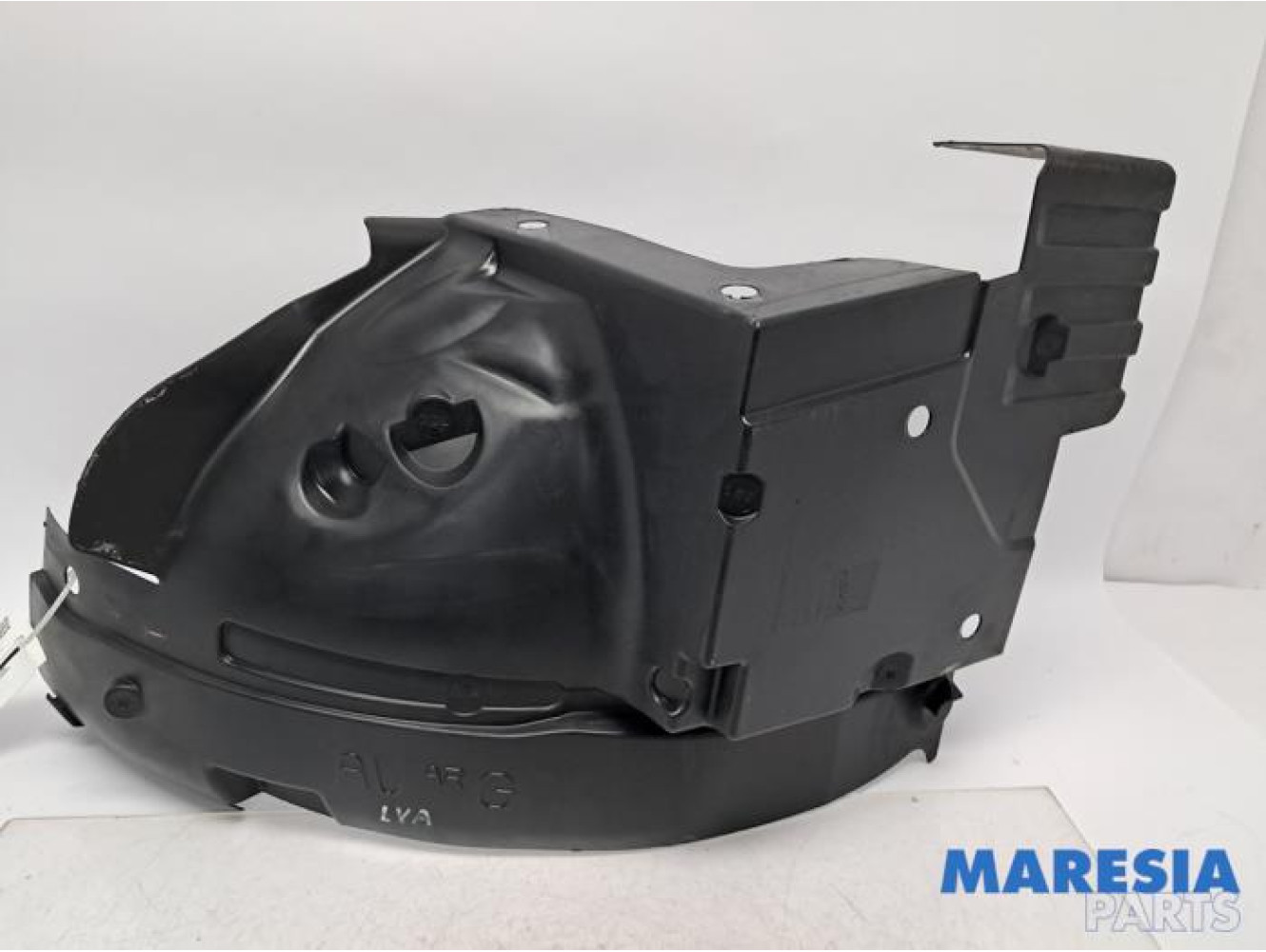 Renault - Trafic - Radkasten