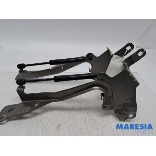 Renault - Grand Scenic - Bonnet Hinge