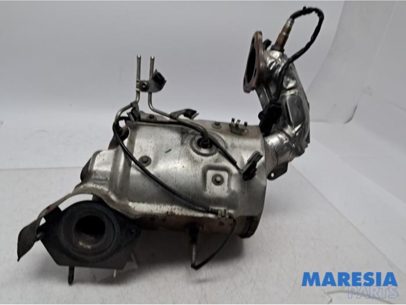 Renault - Grand Scenic - Roetfilter