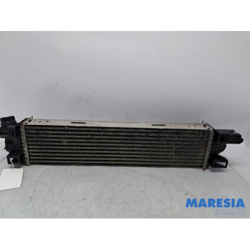 Renault - Trafic - Ladeluftkühler