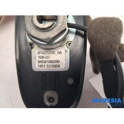 Peugeot - 207 - Antenne