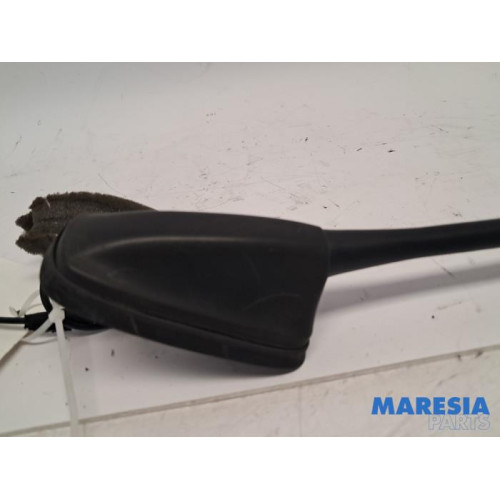 Peugeot - 207 - Antenne