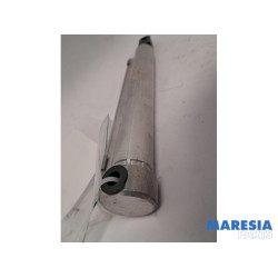 Peugeot - 207 - Cabriodak cilinder