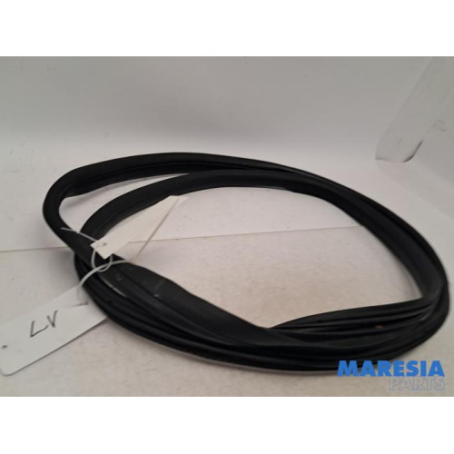 Peugeot - 107 - Front door seal 4-door, left