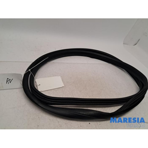 Peugeot - 107 - Front door seal 4-door, right