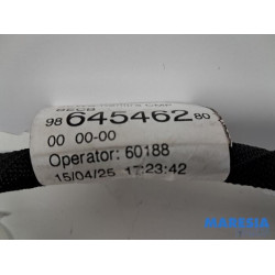 Alfa Romeo - Junior Elettrica - Capteur de batterie