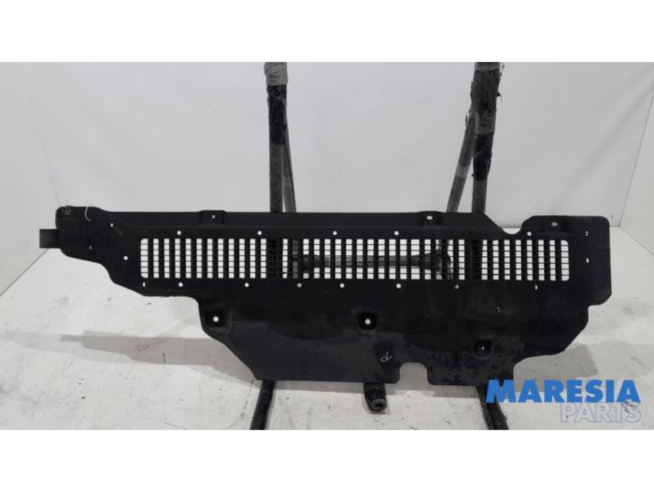 Renault - Clio - Beschermplaat bodem