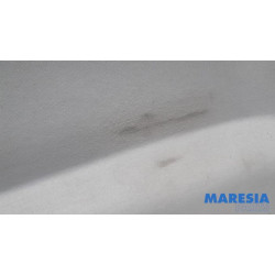Peugeot - 208 - Revêtement plafond