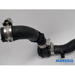 Renault - Clio - Aanzuigslang Lucht