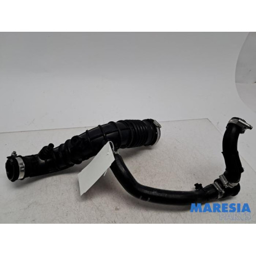 Renault - Clio - Aanzuigslang Lucht