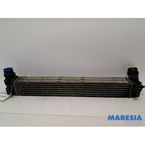 Renault - Megane - Intercooler
