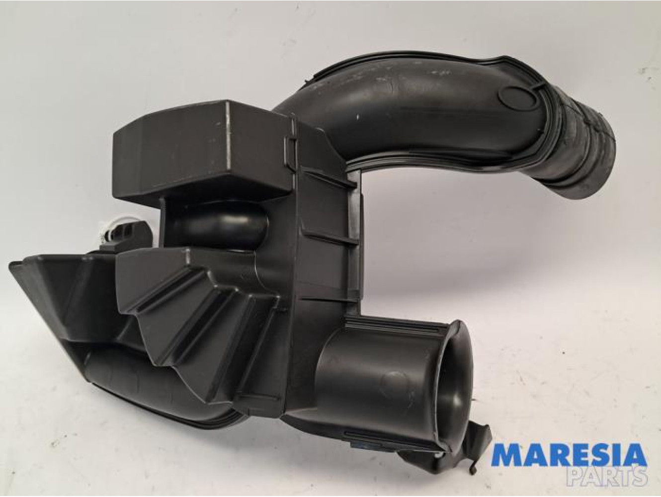 Renault - Megane - Resonance housing