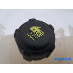 Renault - Megane - Expansievat