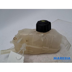 Renault - Megane - Expansievat