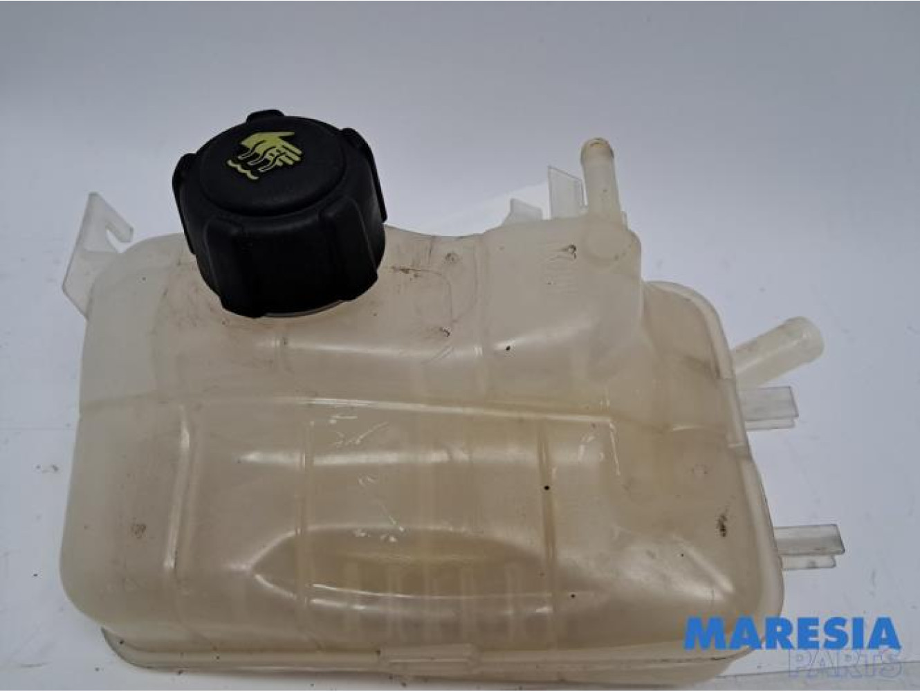 Renault - Megane - Expansievat