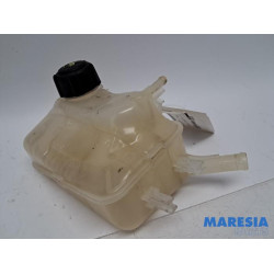 Renault - Megane - Expansievat