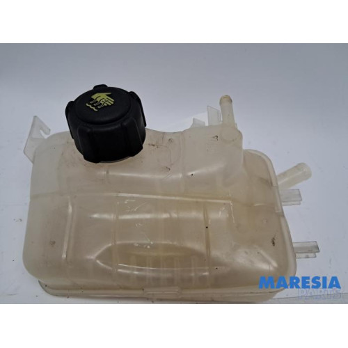 Renault - Megane - Expansievat