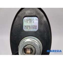 Peugeot - 308 - Antenne