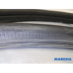 Renault - Trafic - Portierrubber 2Deurs rechts