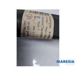 Alfa Romeo - Giulietta - Amortisseur arrière gauche