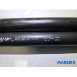 Peugeot - 208 - Set Gasdämpfer Heckklappe