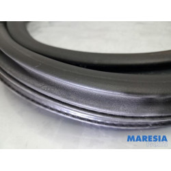 Peugeot - 208 - Front door seal 4-door, left