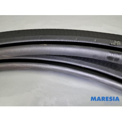 Peugeot - 208 - Front door seal 4-door, left