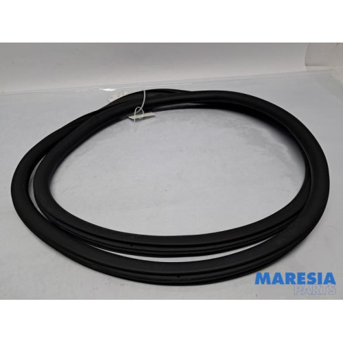 Peugeot - 208 - Front door seal 4-door, left
