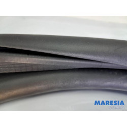 Peugeot - 208 - Front door seal 4-door, right