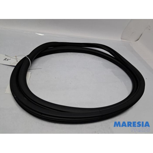 Peugeot - 208 - Front door seal 4-door, right