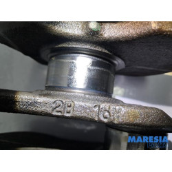 Fiat - Punto - Kurbelwelle