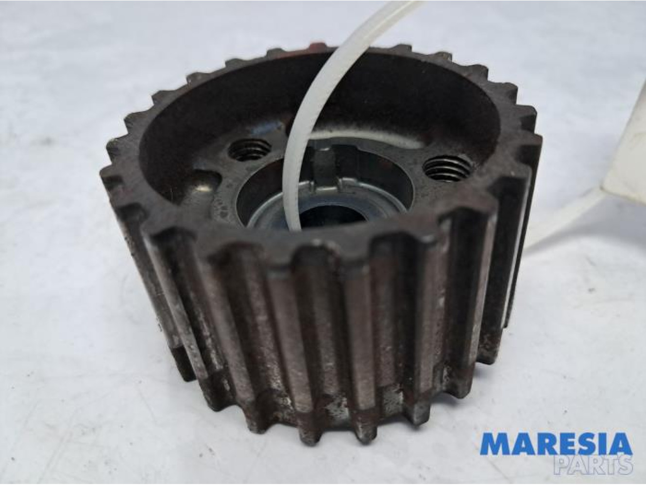 Fiat - Punto - Krukas Tandwiel