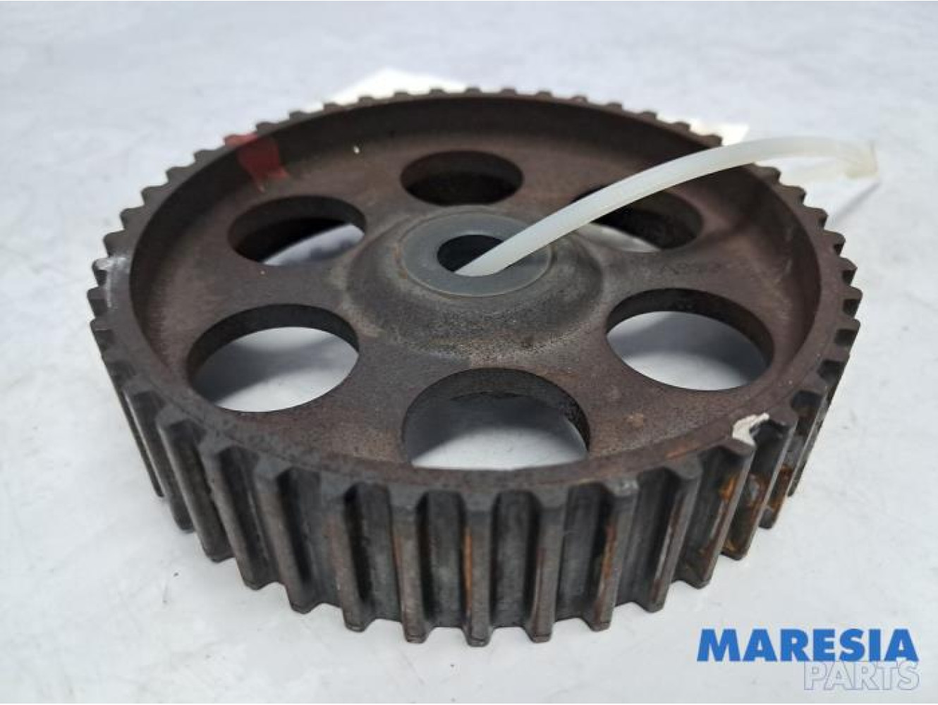 Fiat - Punto - Roue d'engrenage arbre à cames