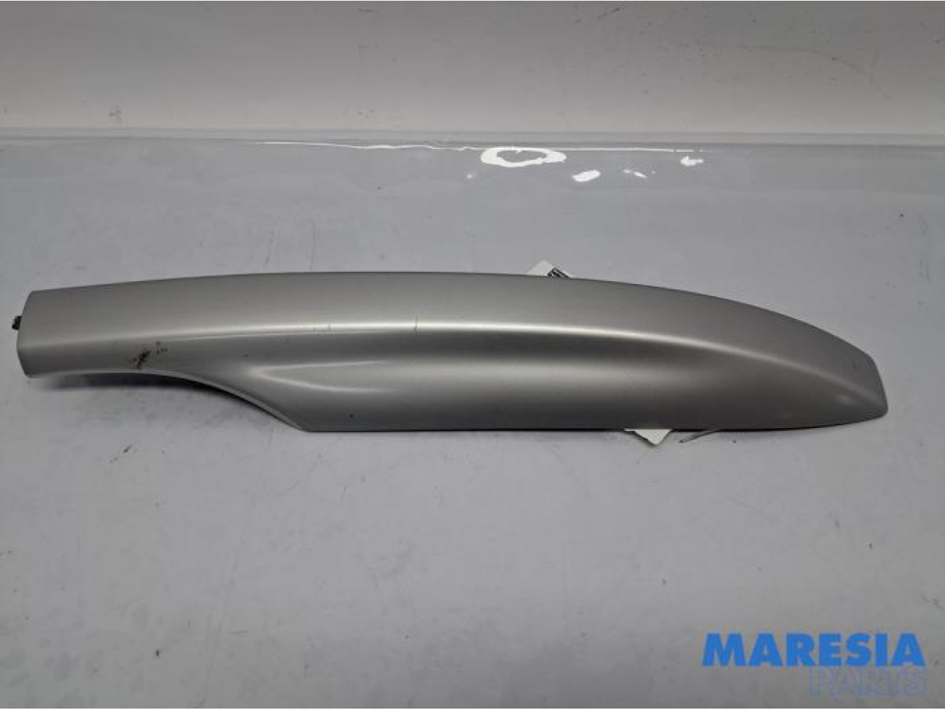 Renault - Megane - Roof rail sealing cover