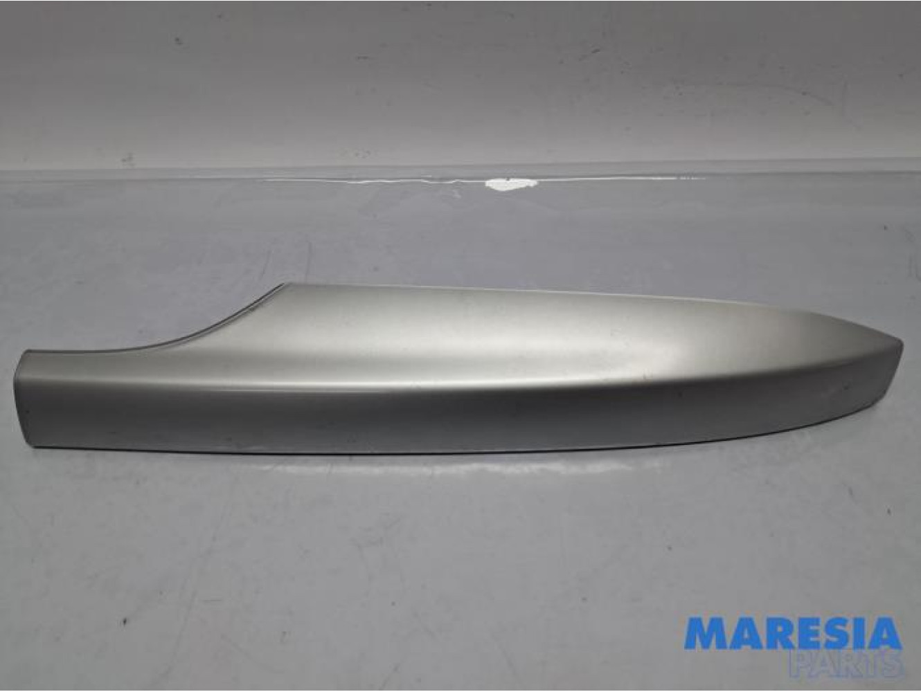 Renault - Megane - Roof rail sealing cover