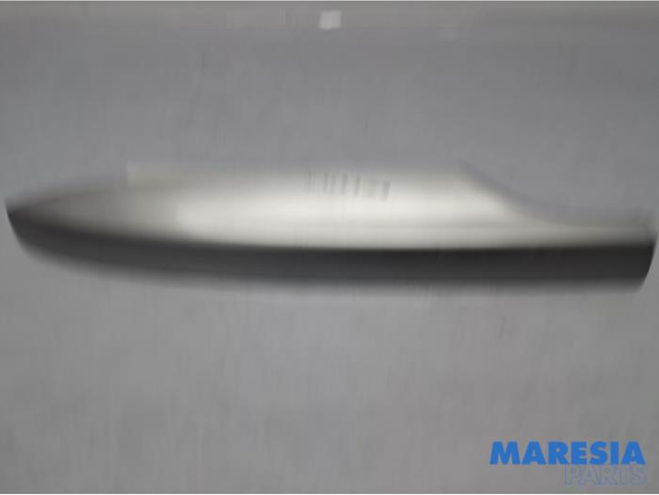 Renault - Megane - Roof rail sealing cover