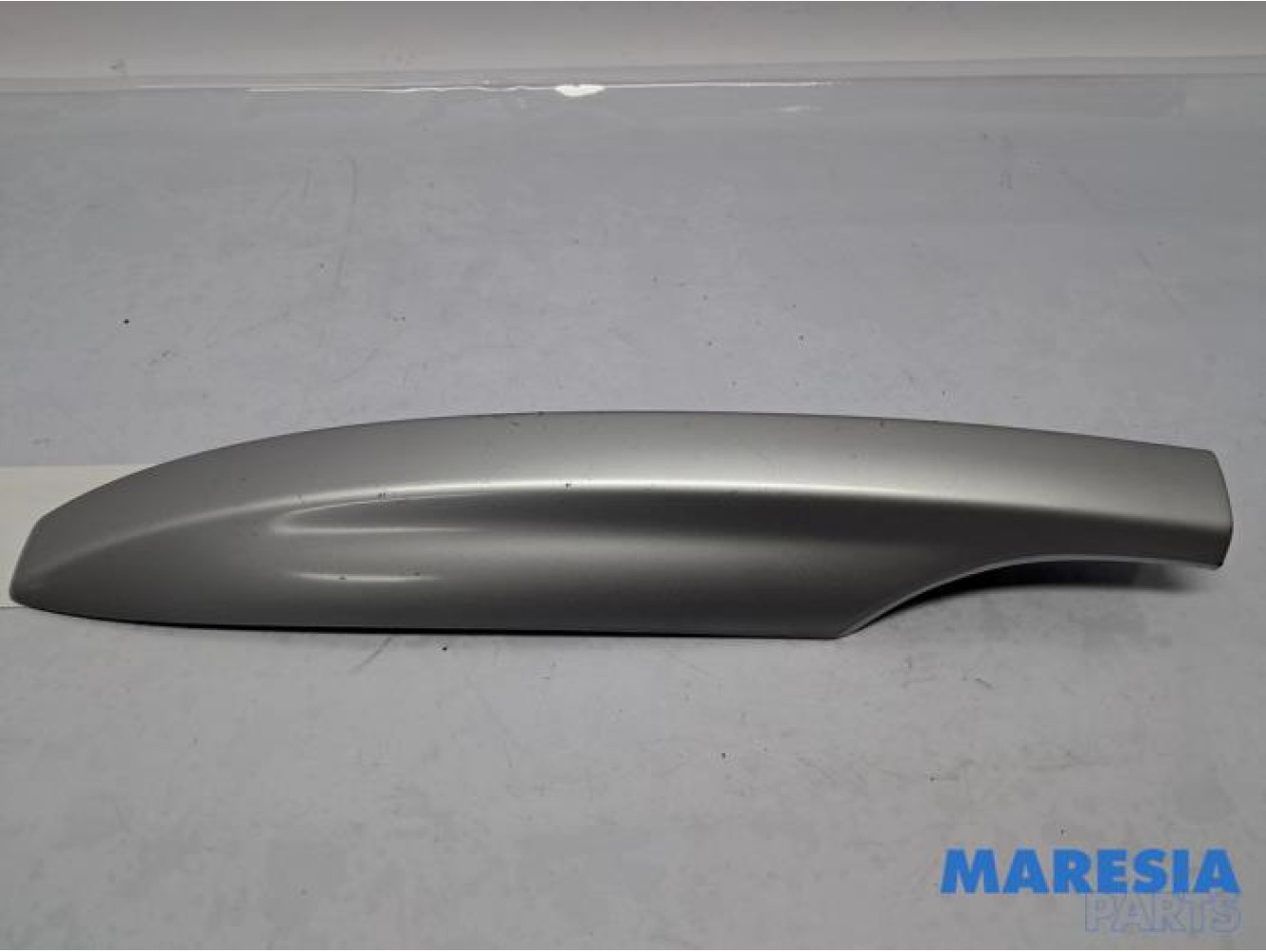 Renault - Megane - Roof rail sealing cover