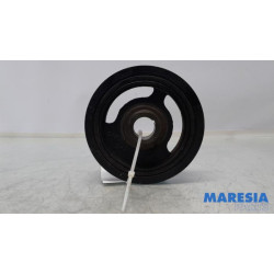 Renault - Clio - Krukas Poelie