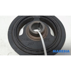 Renault - Clio - Krukas Poelie