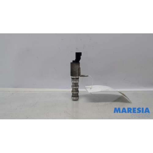 Renault - Clio - Nokkenas Verstelling