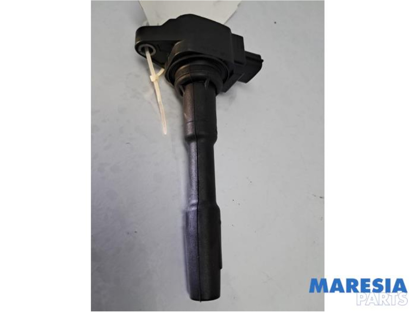 Renault - Clio - Pen Bobine