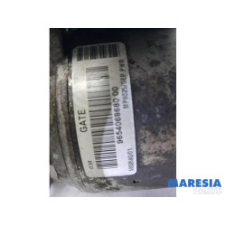 Citroen - C6 - LHM Pomp (vering)