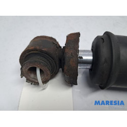 Citroen - C6 - Front shock absorber rod, left