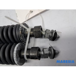 Peugeot - 307 - Gasdemper Motorkap Set