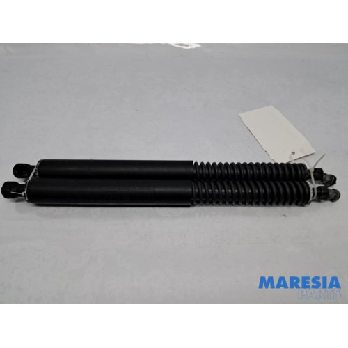 Peugeot - 307 - Gasdemper Motorkap Set