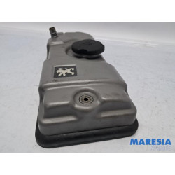 Peugeot - 206 PLUS - Kleppendeksel